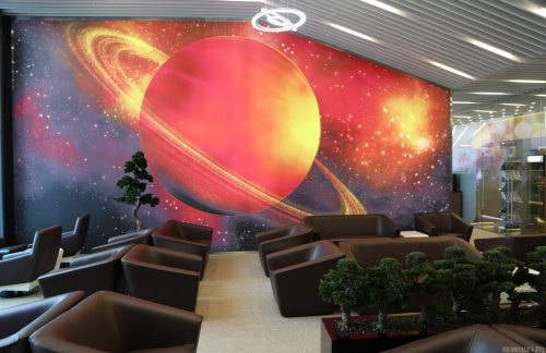 莫斯科谢列梅捷沃国际机场【暂停开放】Space Lounge