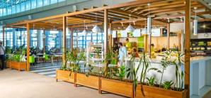 模里西斯-西沃薩古爾·拉姆古蘭爵士國際機場Green is Better Mauritius 