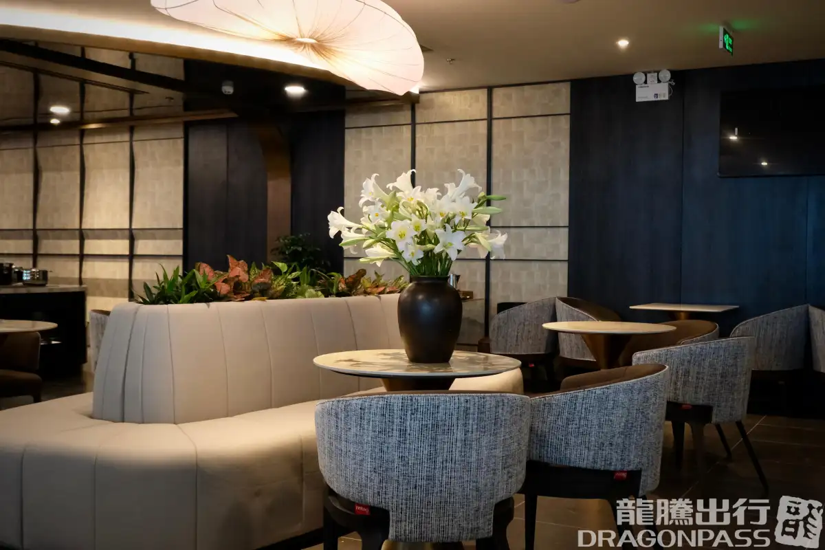 The SENS Business Lounge – photos 8