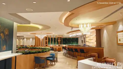 Elysian Executive Lounge - Domestic