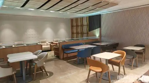 Elysian Lounge - Domestic