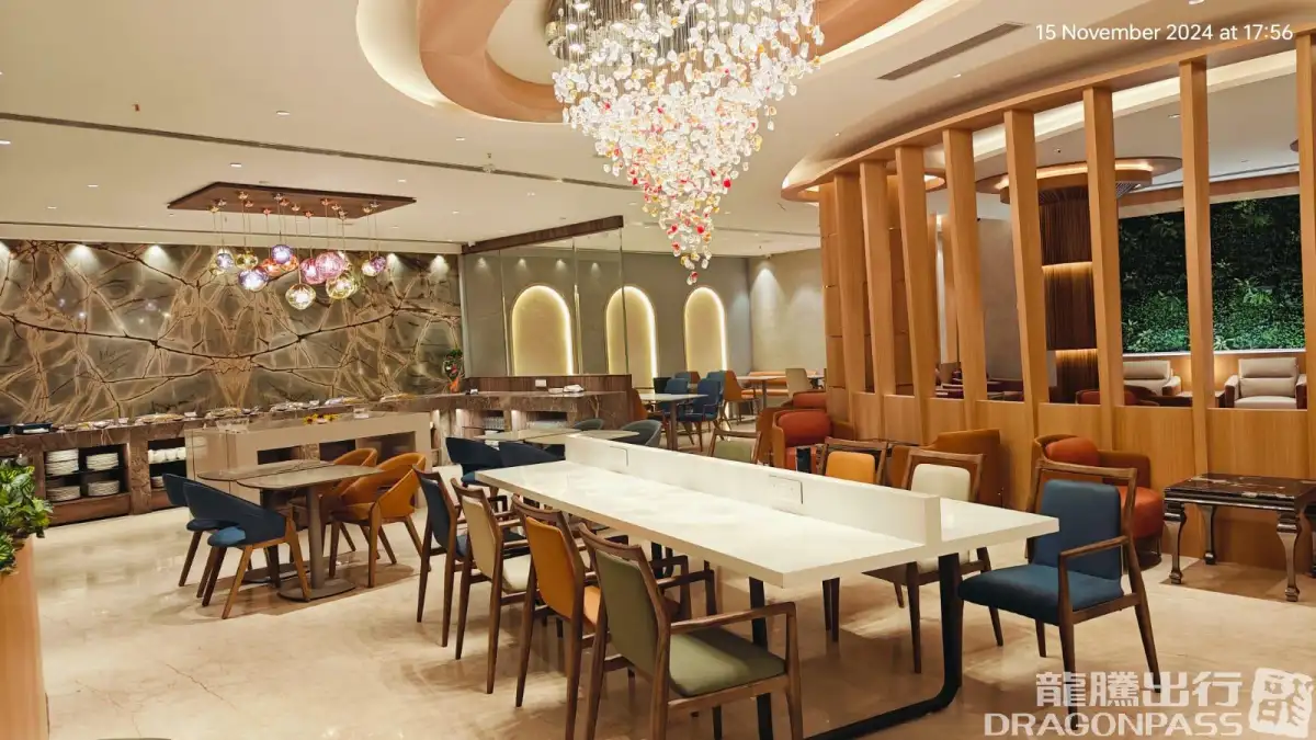 Elysian Executive Lounge - Domestic – photos 5