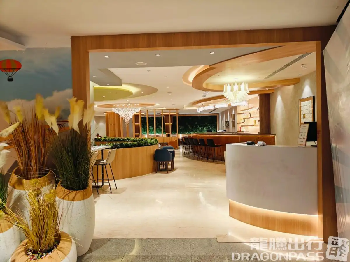 Elysian Executive Lounge - Domestic – photos 7