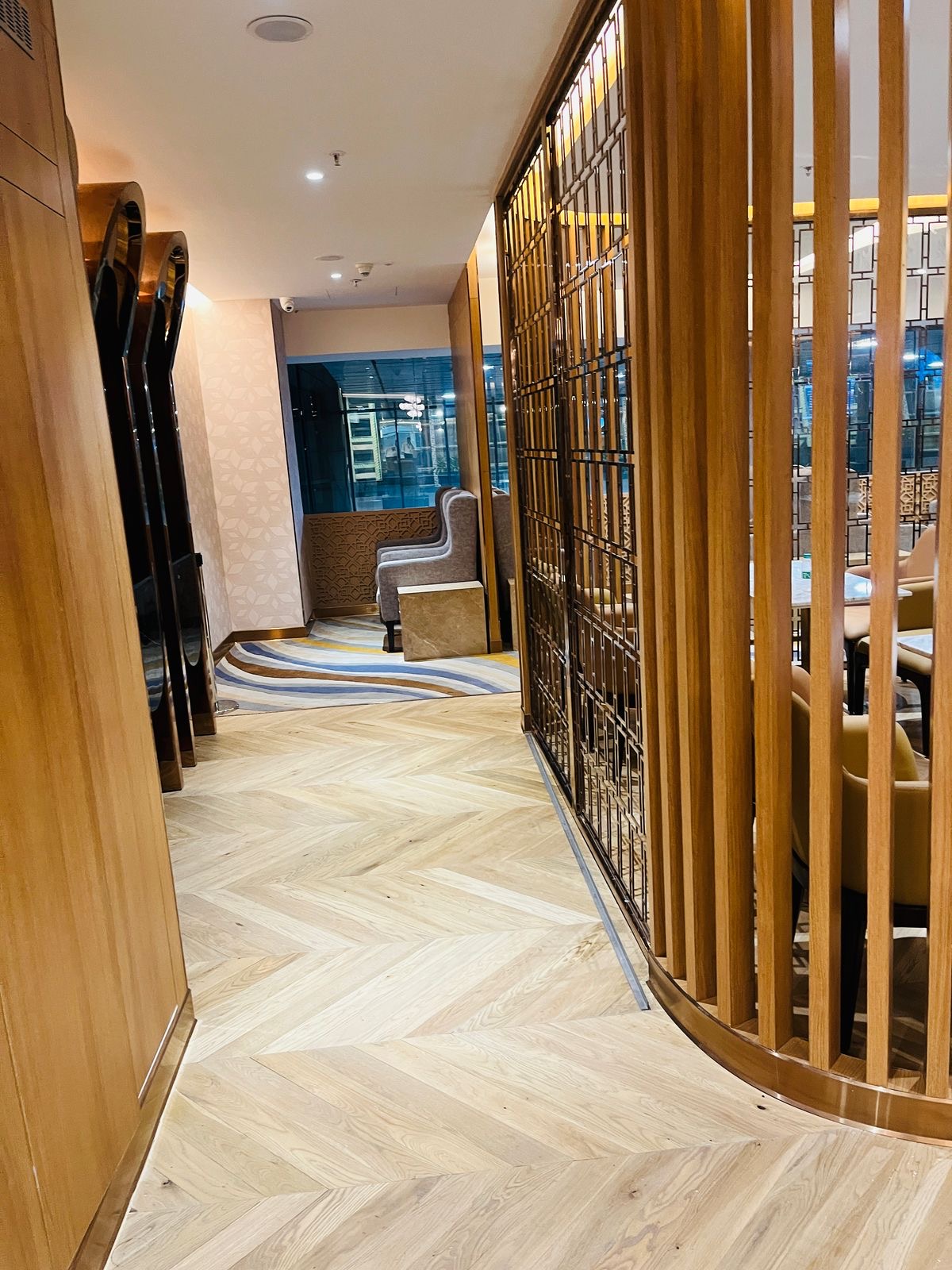 Adani Lounge atmosphere, image 10