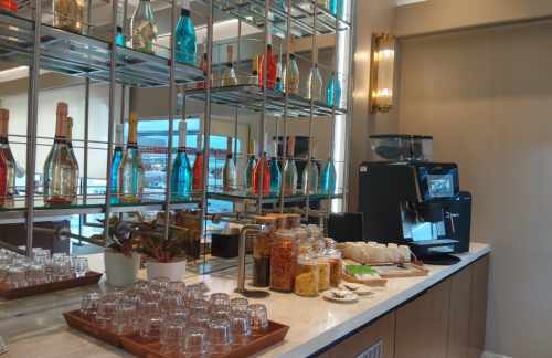 艾哈迈达巴德机场ADANI SILVER LOUNGE