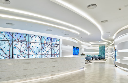 SVO【暂停使用】Chagall Lounge