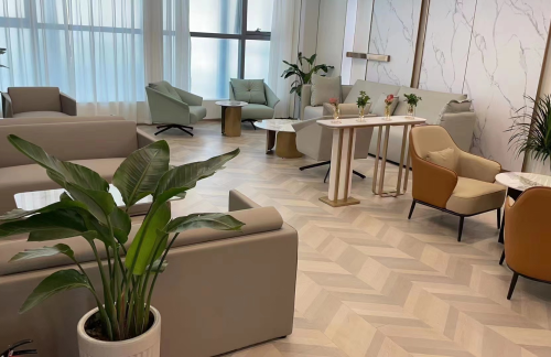 air-441504龙腾安徽金融贵宾厅