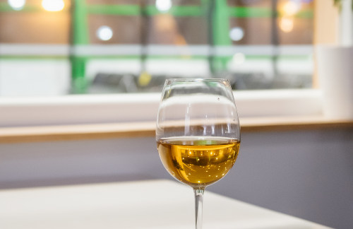 NQZSapar Lounge (Dom)