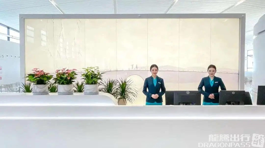 VIP Lounge V25 (Int T4) – photos 3