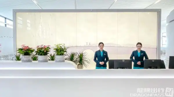 VIP Lounge V25 (Int T4) – photos 3