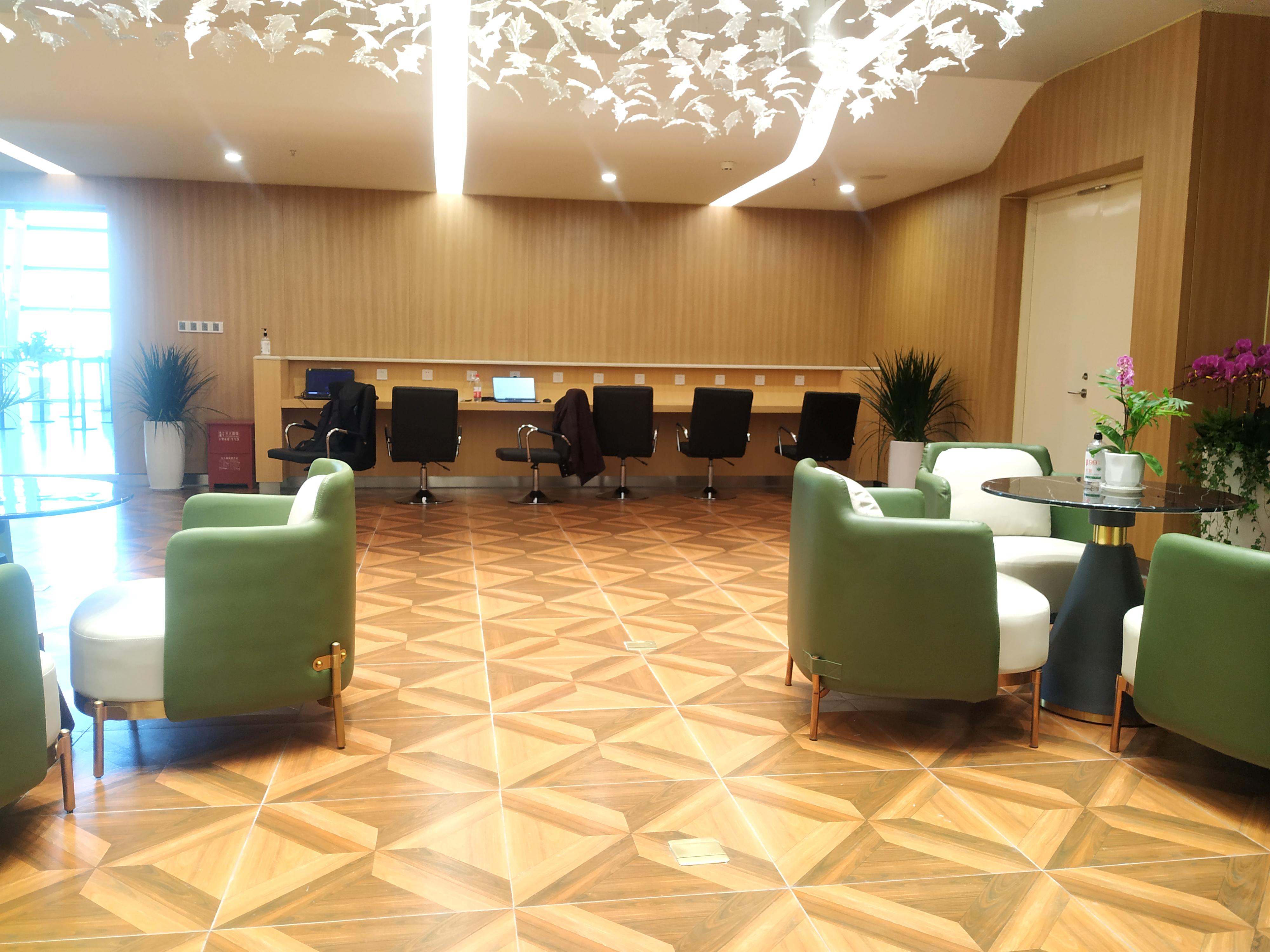 First Class Lounge atmosphere, image 11