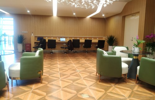 LYG头等舱候机室