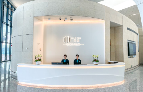 HGH贵宾休息室V26(T4国内）