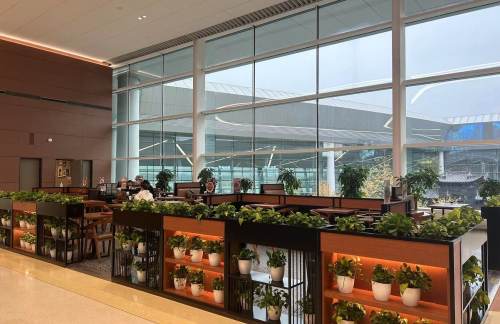 air-431564餐食体验厅-老张牛肉面