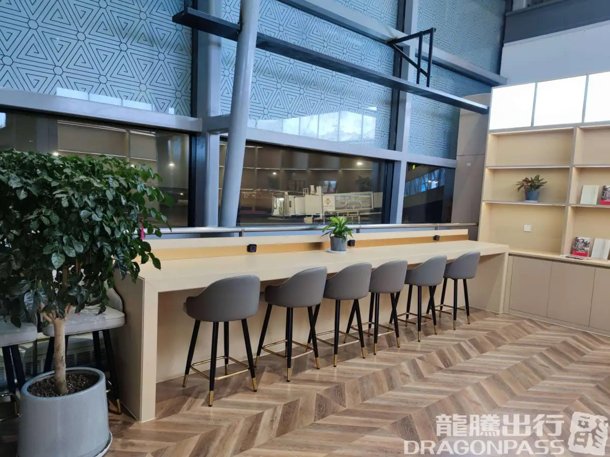 South Airline Pearl Lounge(T3 Domestic) – photos 11