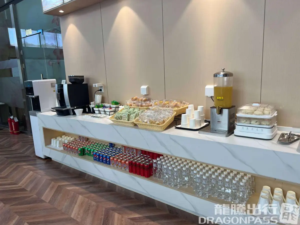 South Airline Pearl Lounge(T3 Domestic) – photos 12