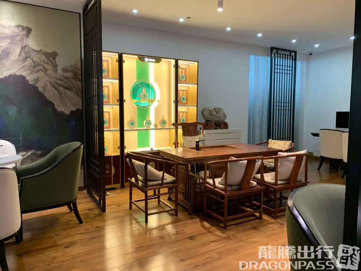 Joyflight No.7 First Class Lounge – photos 9