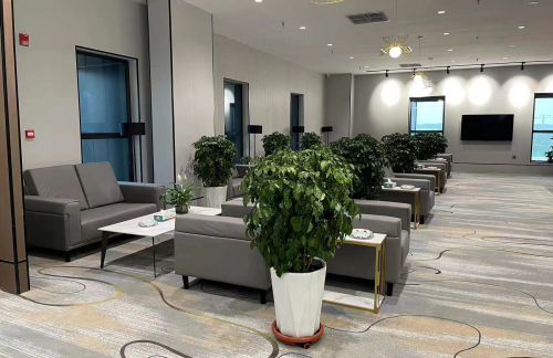 air-6851681商务贵宾厅