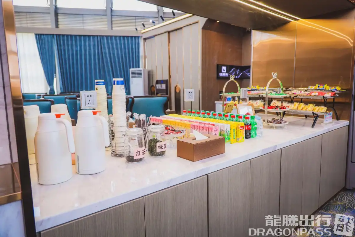 First Class Lounge (T2 Dom) – photos 8