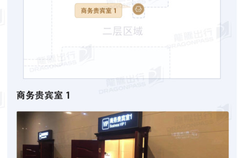 ZYI商务贵宾室1
