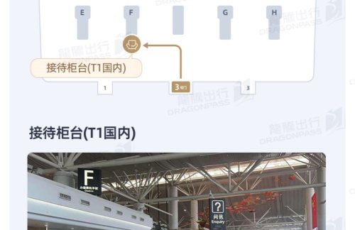 NKG接待柜台(T1国内)