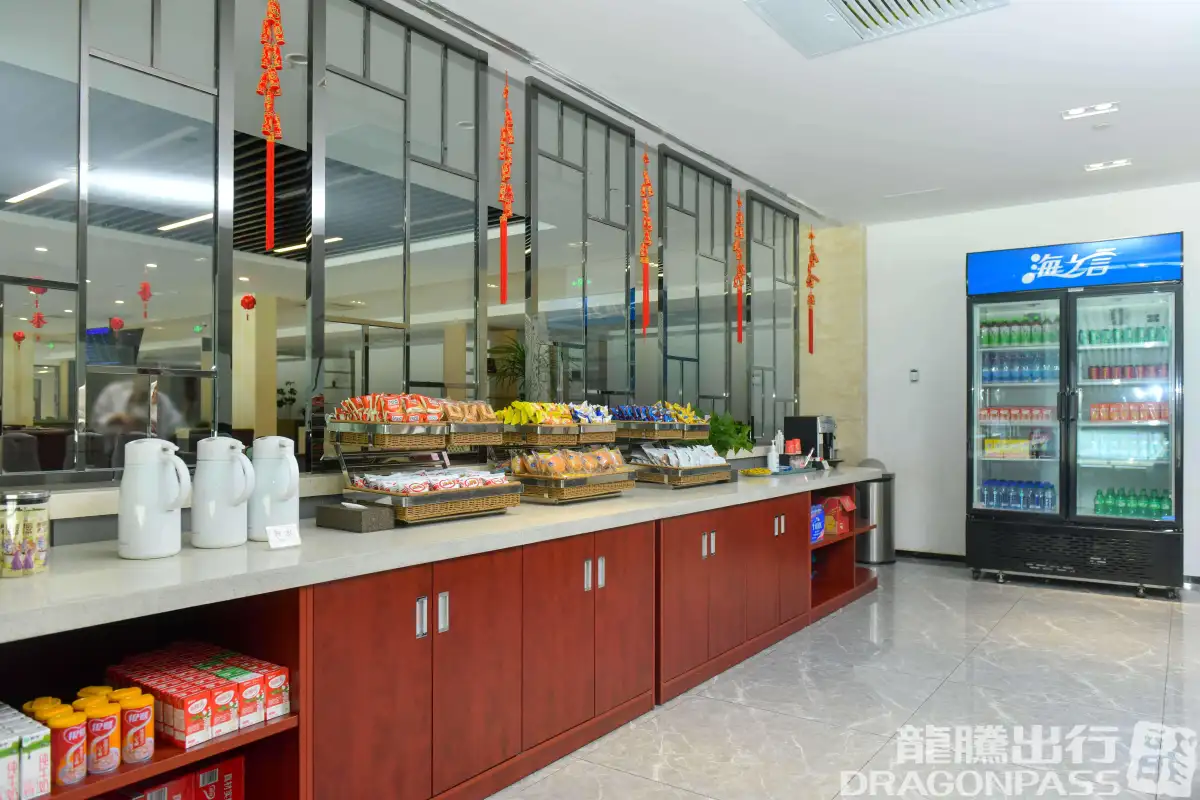 First Class Lounge 1 (T1) – photos 2