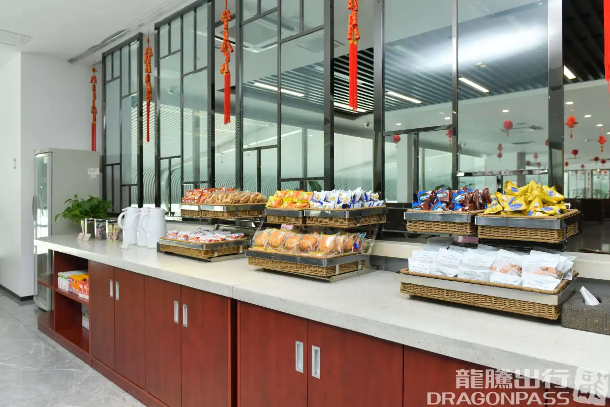 First Class Lounge 1 (T1) – photos 7