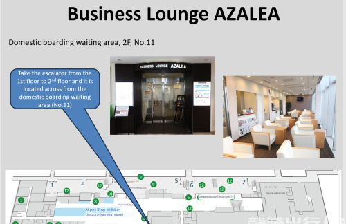 NGSBusiness Lounge AZALEA