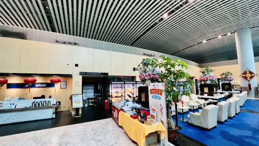 China Southern Sky Pearl Club atmosphere, image 6