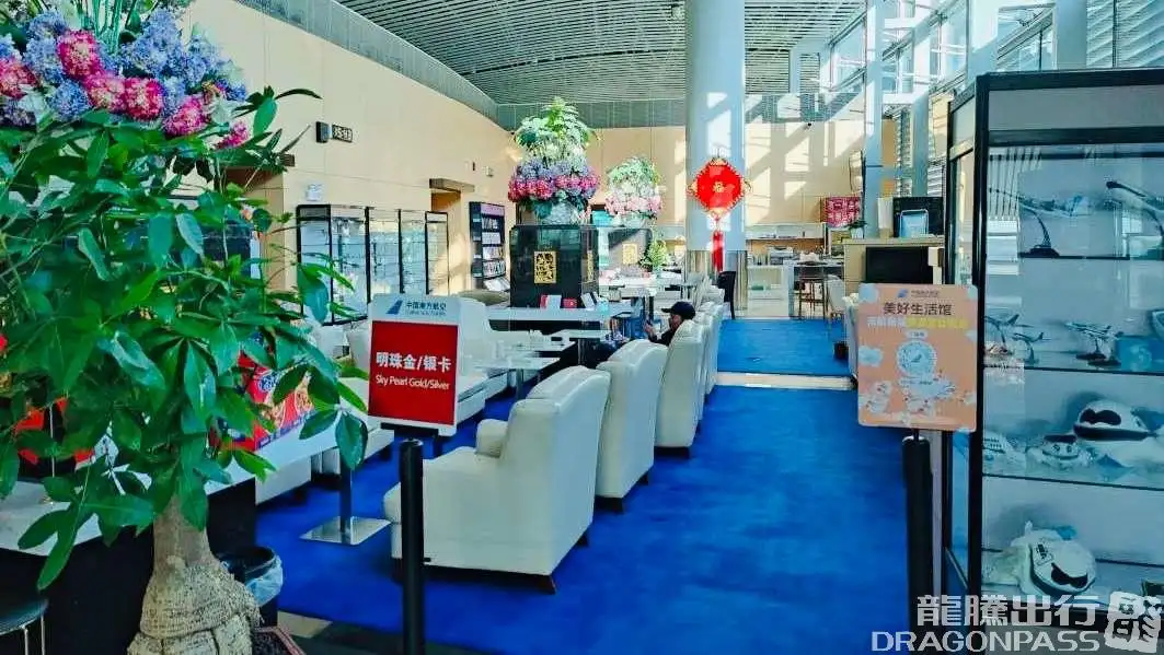 China Southern Sky Pearl Club – photos 5