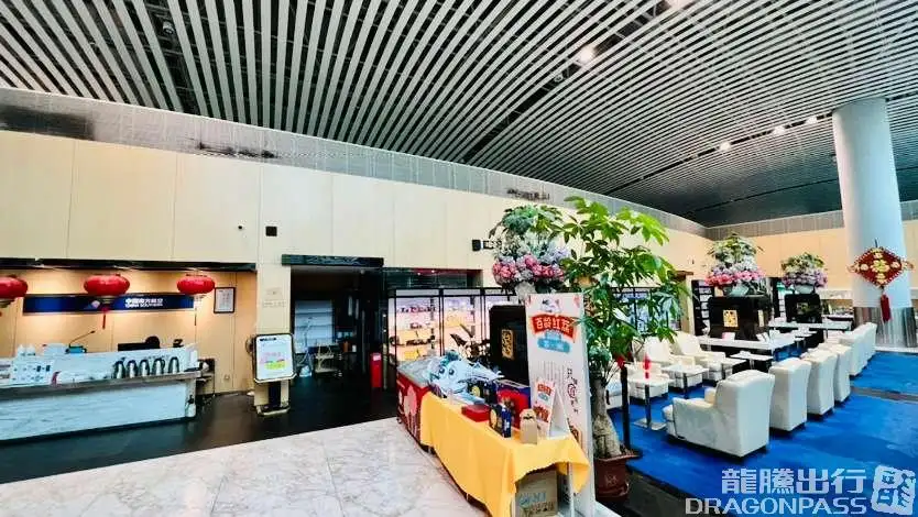 China Southern Sky Pearl Club – photos 8