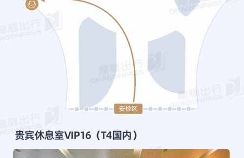 HGH贵宾休息室VIP16（T4国内）