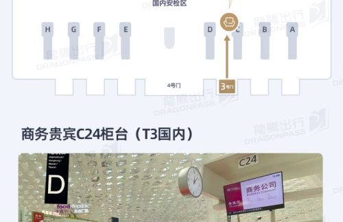 SZX商务贵宾C24柜台(T3国内)