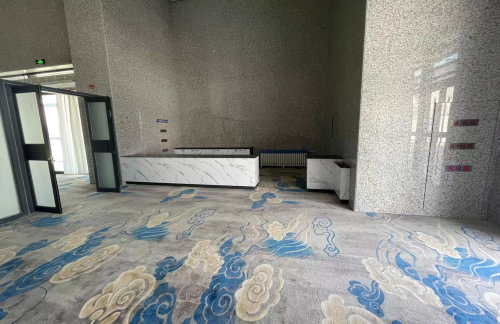 air-6852580商务舱候车室