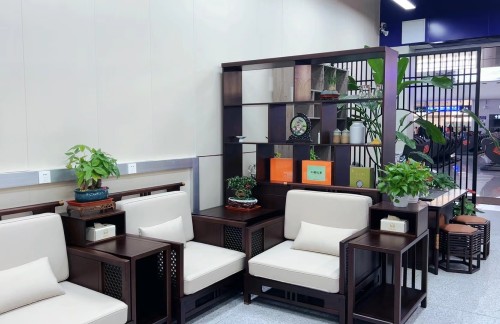 air-441571商务座候车区