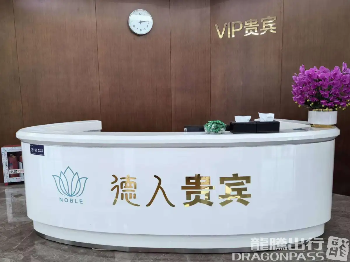 Deren VIP lounge (T3 domestic) – photos 5