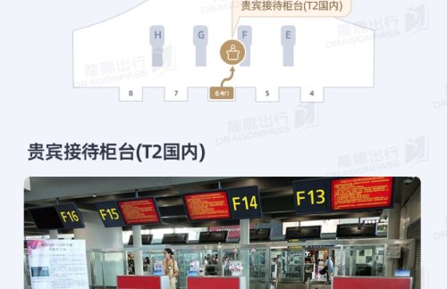 TSN贵宾接待柜台(T2国内)