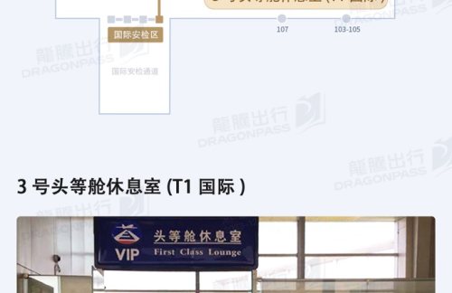 TSN3号头等舱休息室 (T1国际)