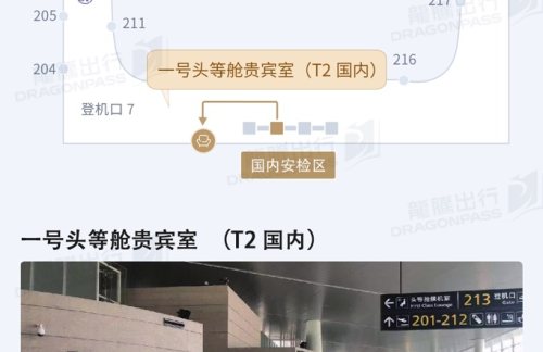 WNZ1号头等舱贵宾室(T2国内)