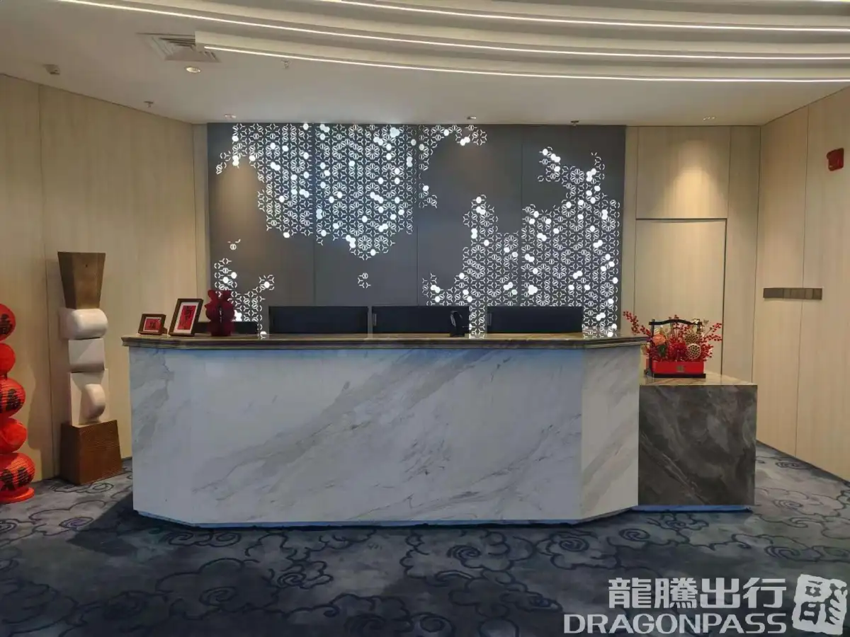 Domestic First Class Lounge (opposite Gate 10) – photos 6
