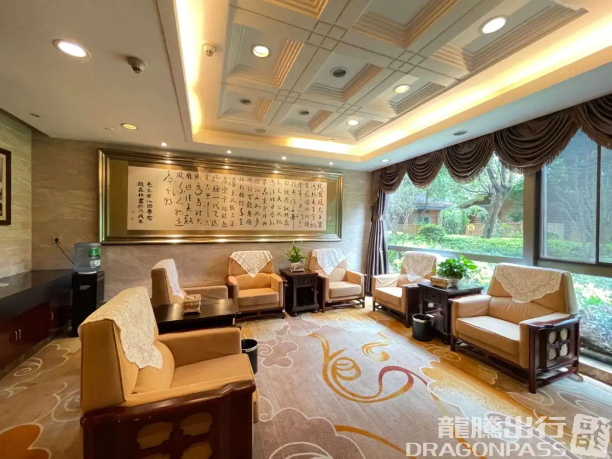 Best VIP Lounge B (T1 Domestic) – photos 5