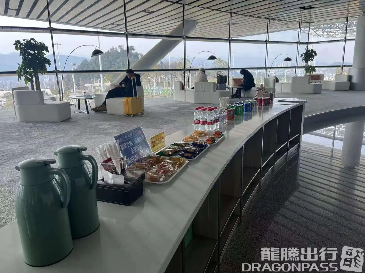 VIP Business Lounge (Main Terminal) – photos 9