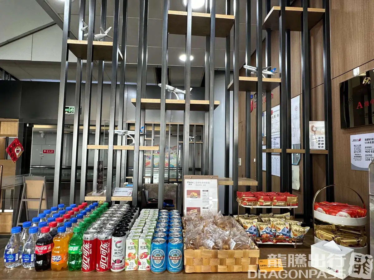 CIP International Lounge – photos 8