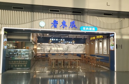 银川河东国际机场老木瓜