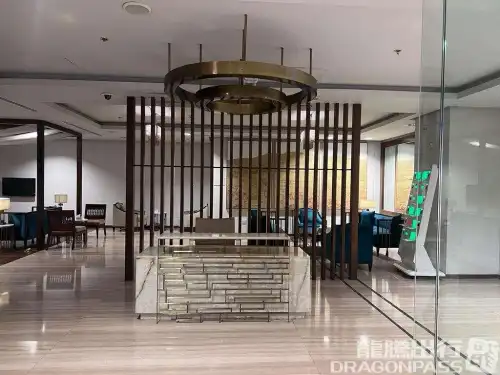 Domestic Cip Lounge