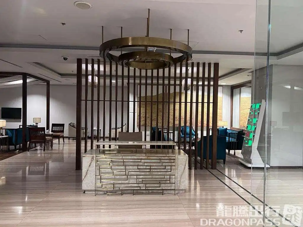 Domestic Cip Lounge – photos 6