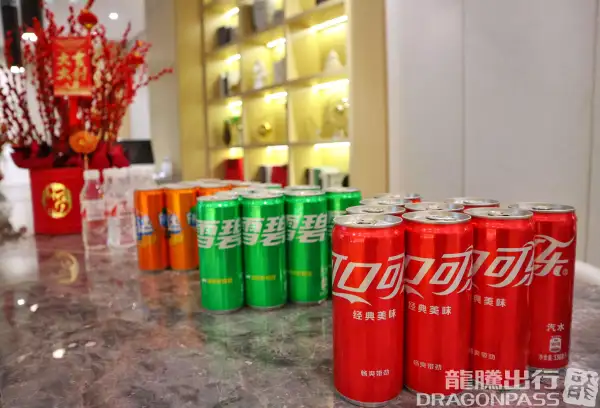 First Class Lounge 4 (T2 International) – photos 3