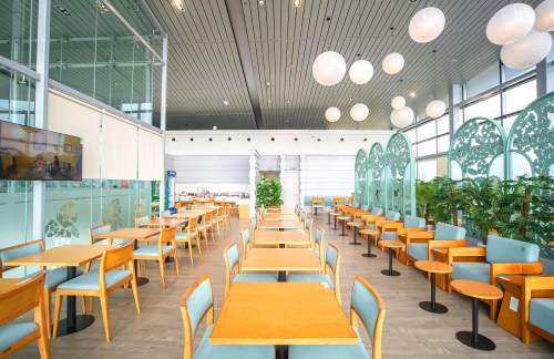 HPHSH Premium Lounge Cat Bi