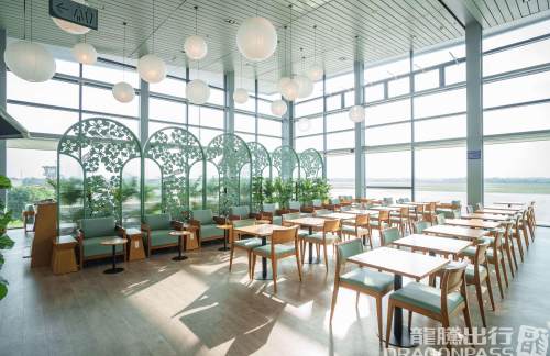 HPHSH Premium Lounge Cat Bi