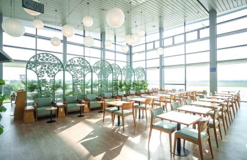 HPHSH Premium Lounge Cat Bi